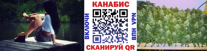 Бошки Шишки семена  Купить  Новоалтайск 